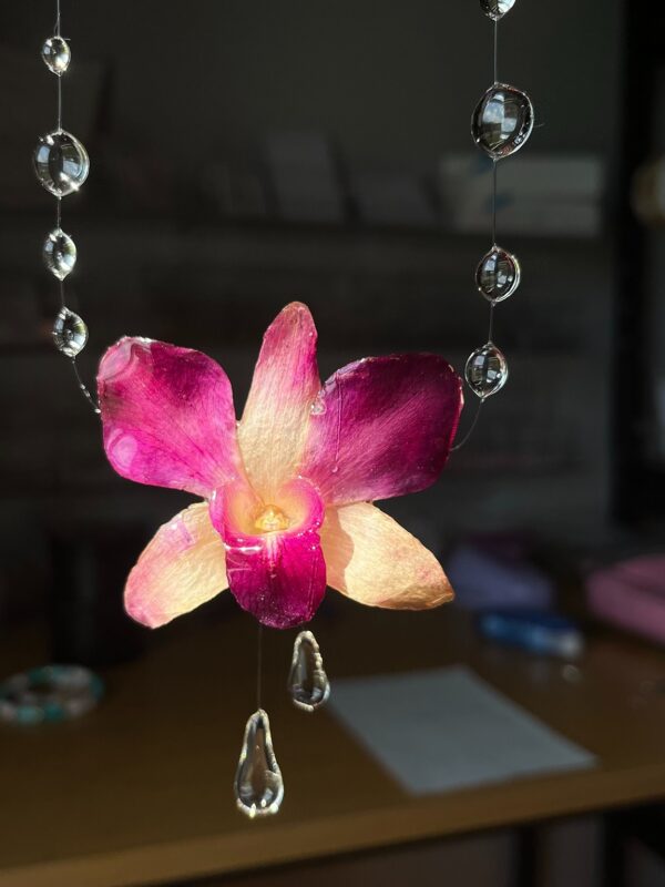 Morning Blossom - Image 3