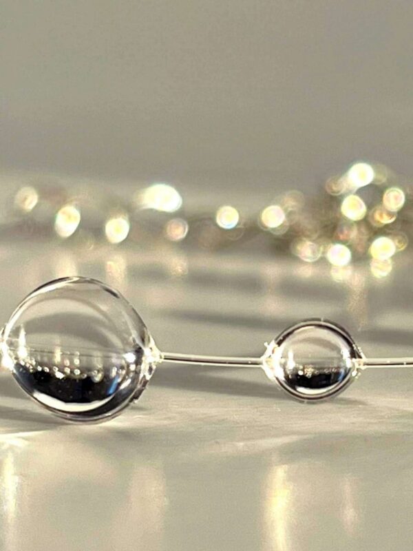 Dainty Princess - Image 3