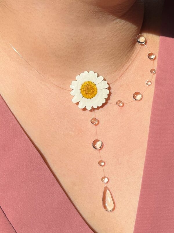 Daisy Raindrop
